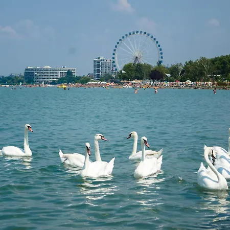 In - Balaton 35627